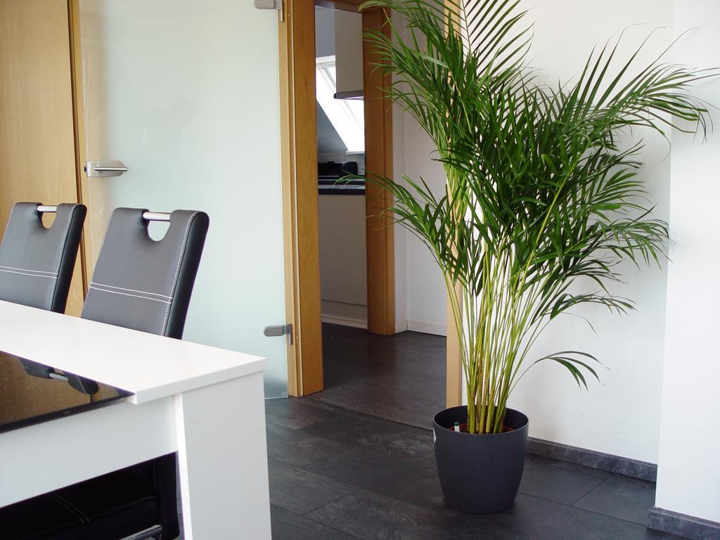 דירות La Domus Premium Osnabrueck Lotte מראה חיצוני תמונה